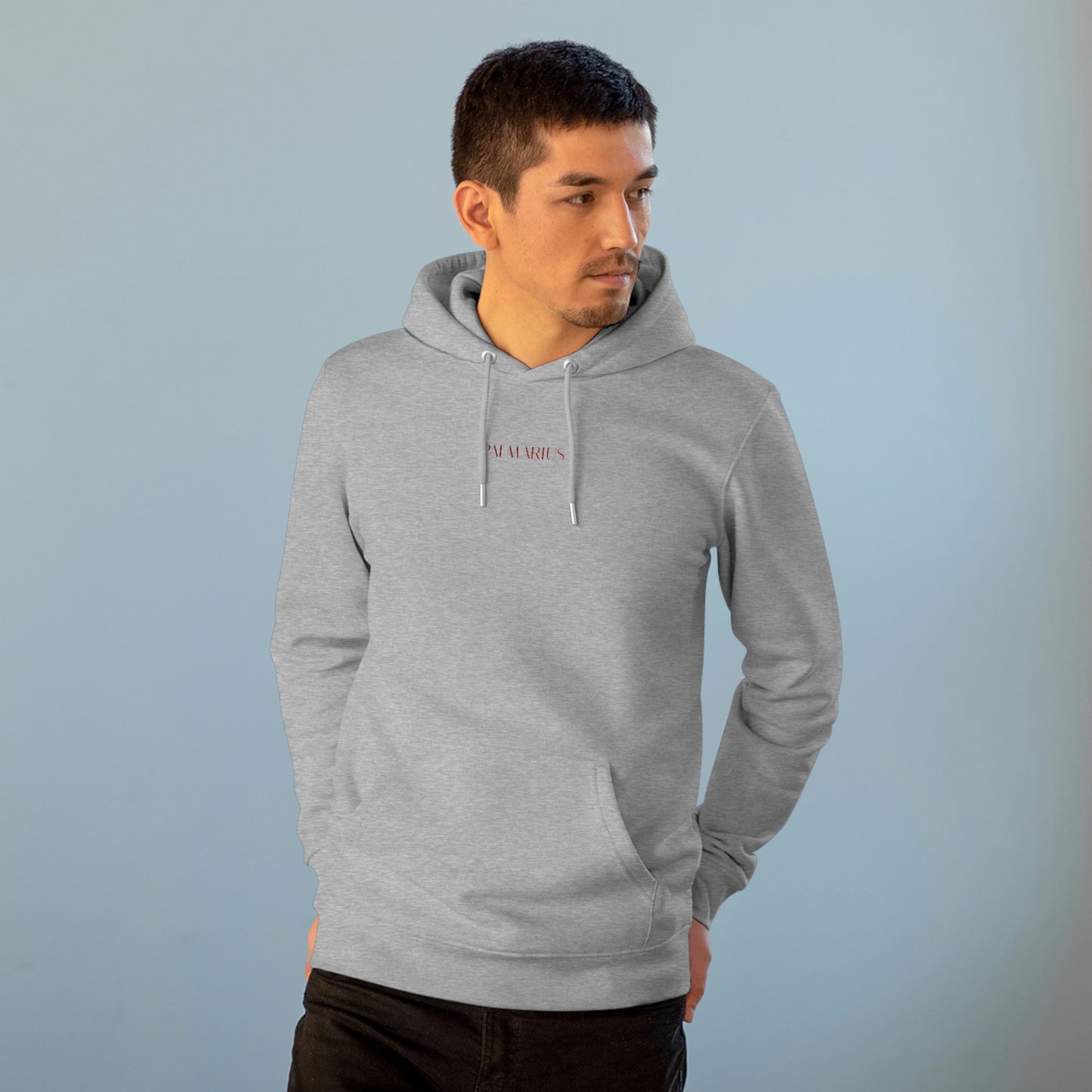 Palmarius Apparel Unisex Cruiser Hoodie