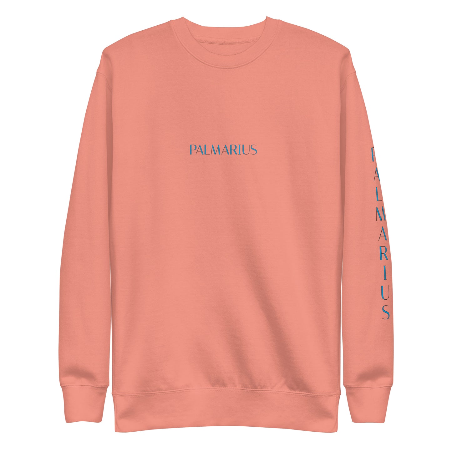 Palmarius Sky Print Exclusive Sweatshirt